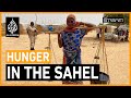 What can stop hunger in the Sahel? | The Stream