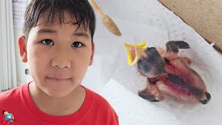 น้องบีม | ภารกิจช่วยชีวิตลูกนกกระจอก