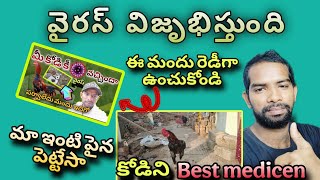 Denger 🔔 వైరస్ విజృంభిస్తుంది జర భద్రం బ్రదర్ #andhrakurradu#birds#reel#funny#pets#chicken#covid19