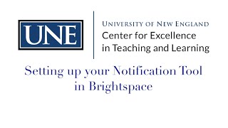 Setting up your Notification tool in Brightspace.