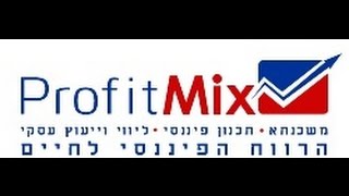 איך להשיג איתנות פיננסית נדלניסטית, הדרכה בהנחיית מיכל לבב הדר