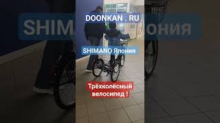 Трёхколёсный складной велосипед для взрослых и подростков 2024 #doonkan #trike #трицикл #трайк #дцп