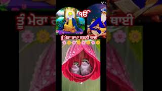 ਤੂੰ ਮੇਰਾ ਰਾਖਾ ਸਭਨੀ ਥਾਈ #shorts #video #