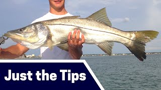 Wintertime Snook Fishing Tips: Where, Bait, and Tackle [Just the Tips]