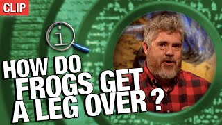 How Do Frogs Get A Leg Over? | QI