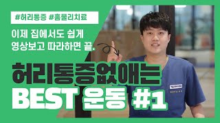 집에서 쉽게 따라하는 '허리 아플때 통증 없애는' BEST 운동 1주차