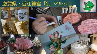 ⛩滋賀県・近江神宮「S」マルシェ　（4K映像）