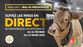 Ring de présentation 27/02/2025