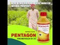 pentagon pendimathalin 30% ec by asc rajkot gujarat