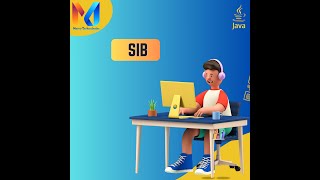 5. Static Initialization Block (SIB)