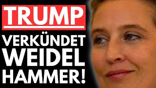 💥EILMELDUNG! TRUMP VERKÜNDET AfD KOOPERATION?! WEIDEL JETZT FAVORITIN AUF KANZLERSCHAFT!💥