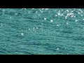 shining blue sea water stock footage