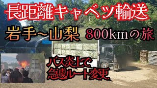 バス炎上通行止め‼️観光地へ向かう大渋滞‼️ハマりにハマった最悪運行💧【長距離トラックドライバー】