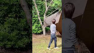 キャンプでタープを高く張る | High Tarp Setup for Camping! #camping #bushcraft #outdoors #shorts