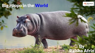 Biggest hippo in  the world 2022 😮😮😮| Bangladesh national zoo | jolohosti prani