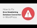 How to Fix the Error Establishing a Database Connection in WordPress