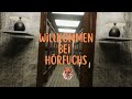 Herzlich Willkommen bei Hörfuchs 🦊