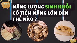 Sinh khối: Năng lượng từ rác thải và thực vật có thật sự tiềm năng ?