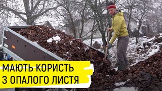 Родина Лугових розводить каліфорнійських черв’яків