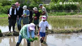 手植え体験、農作業唄と踊り楽しむ　三種町八竜地域