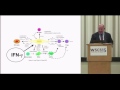 wscs 2015 the msc paradigm failed industrial clinical trials and cellular pharmaceuticals