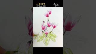 수줍은 겨울꽃 | 시클라멘 색연필 그리기 | Cyclamen Flower Drawing