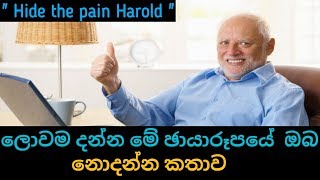 ලෝකයම හොල්ලපු හිනාවෙ කතාව | Story Of Hide The Pain Harold