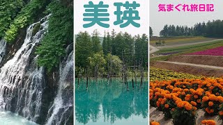 【女ひとり旅】美瑛観光バスツアー/美游バス/白ひげの滝/青い池/四季彩の丘/新栄の丘／ウイングインターナショナル旭川