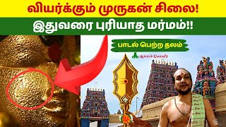 வியர்க்கும் முருகன் சிலை இதுவரை புரியாத மர்மம் Sikkal Singaravelan Temple Padal Petra Sthalam