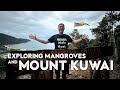 MOUNT KUWAI | Mangroves & Borneo Jungle