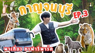 กาญจนบุรี EP.3 พาเที่ยวสวนสัตว์ซาฟารีพาร์ค เปิดโลก ประสบการณ์ นั่งรถชมสัตว์ที่ไม่รู้ลืม!!!