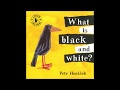 英語絵本『What Is Black and White?』CD試聴