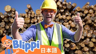 みなとにいこう | Blippi 日本語 - 幼児向け教育動画 | Blippi Visits the Port of Olympia