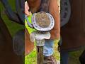 satisfying #horse  hoof trimming #horsecare #horsehoof #satisfying #hoof