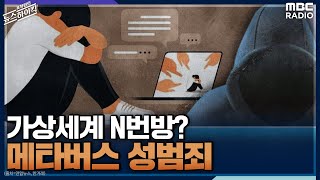 [뉴스하이킥] 가상세계 N번방? 메타버스 성범죄 - 신진희 (성범죄피해전담 변호사) [표창원의 뉴스 하이킥] , MBC 220414방송