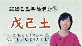 2025乙巳年 戊己土运势分享/戊己土象法/乙巳年喜忌/戊己土不同日柱的区别