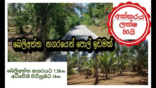 Coconut land for sale in sri lanka||බෙලිඅත්ත ප්‍රදේශයෙන් අක්කරයක පොල් ඉඩමක්.