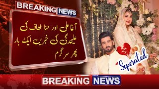 Agha Ali and Hina Altaf separation| Agha Ali and Hina Altaf divorce rumors