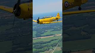 Harvards fly Formation