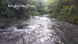 1 hour enjoying the sound of river rapids (1 jam menikmati suara aliran air) by@banghalimofficial