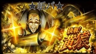 【トレクル】決戦！黄猿 斬パ安定周回！