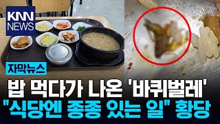 밥 먹다가 이물질 나왔는데...식당 업주 \