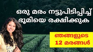 ഞങ്ങളുടെ 12 മരങ്ങൾ | Malayalam Garden vlogs | Malayalam Vlog | Malayalam Vlog UK | Malayalam Vlogger