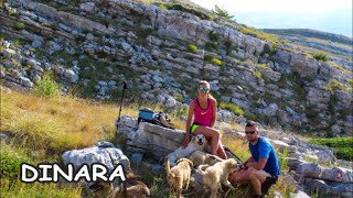 Dinara ⛰️ Góry Dynarskie psy zdobyły z nami szczyt KORONA EUROPY