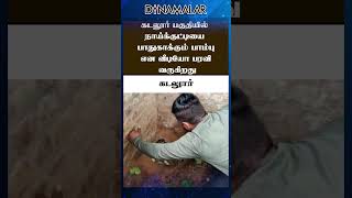 நாய்க்குட்டியை பாதுகாத்த பாம்பு