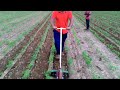 easy make inter cultivator for vegetable and weed control