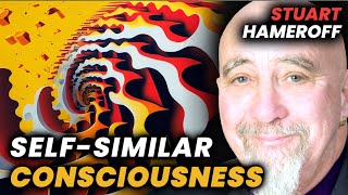 Stuart Hameroff: Orch OR, Penrose, Fractal Consciousness