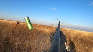 Pheasant hunt November in South Dakota 2024