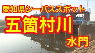 愛知県シーバスフィッシングスポット 五箇村川