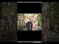 箱根神社 結婚式 神社 挙式 家族婚 shorts